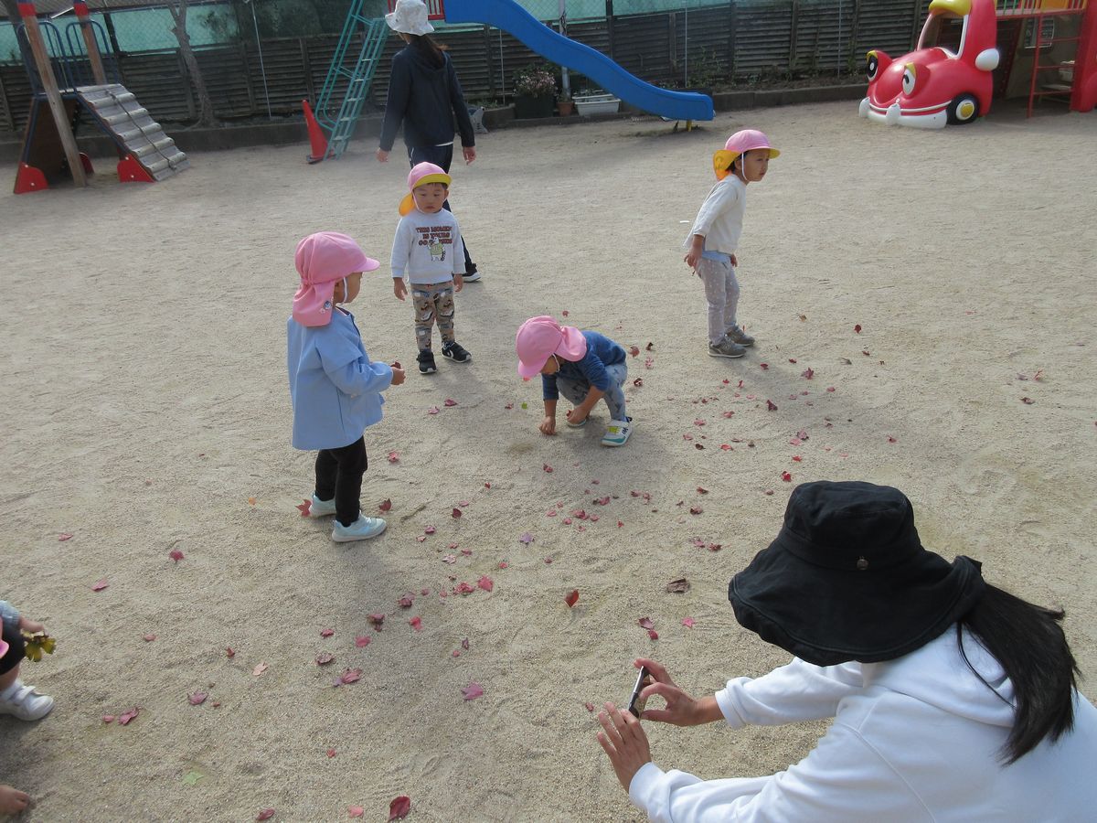 2歳 (6) 2歳 (6)