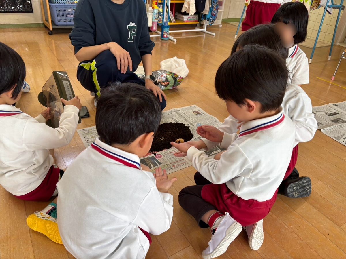 4 幼虫 4 幼虫