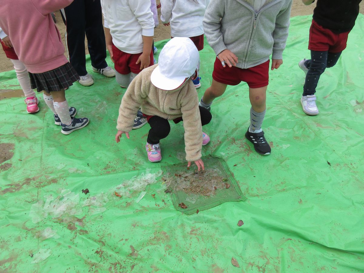 3歳氷(ち・ひ) (3) 3歳氷(ち・ひ) (3)