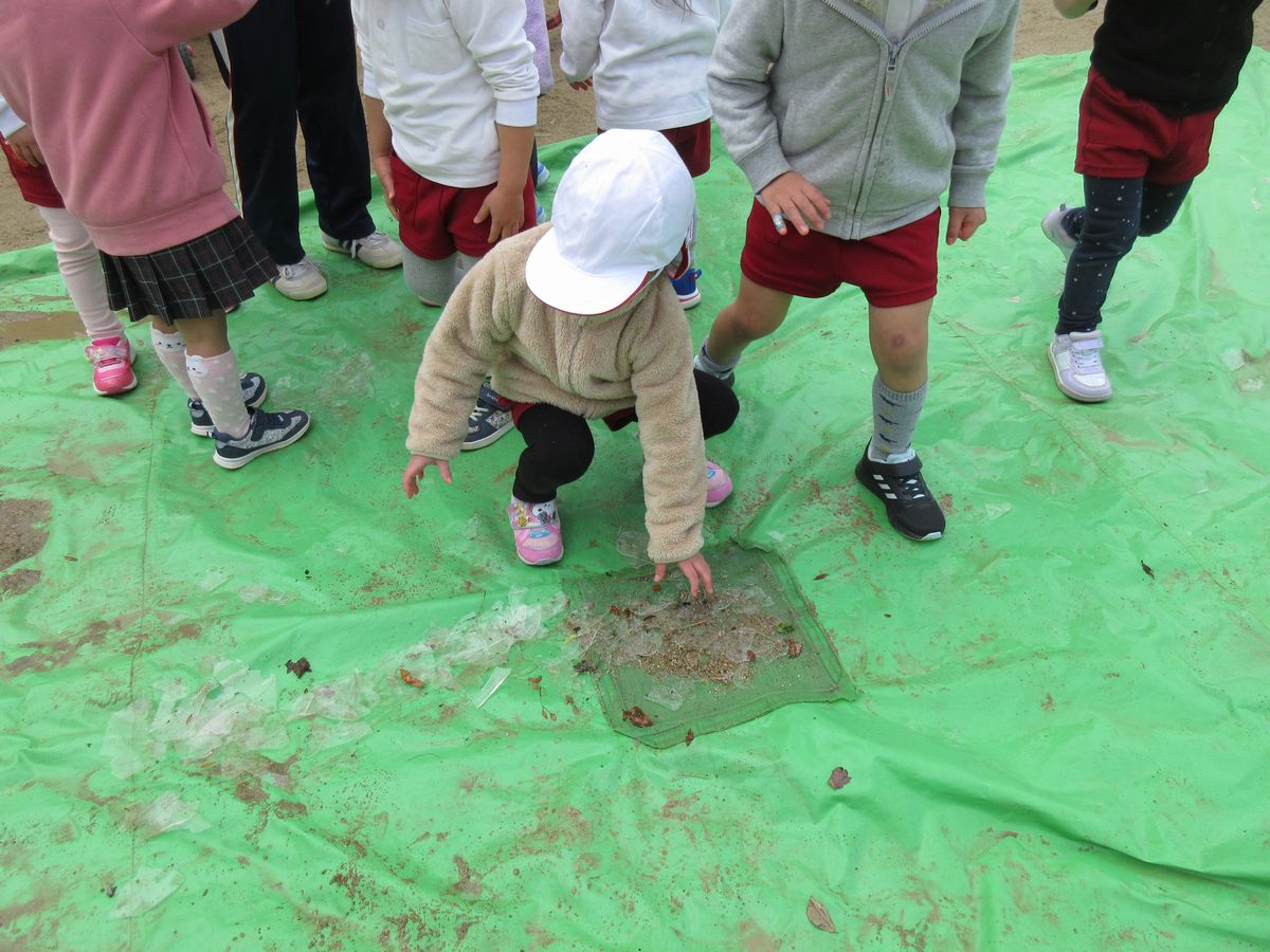 3歳氷（ち・ひ） (3)