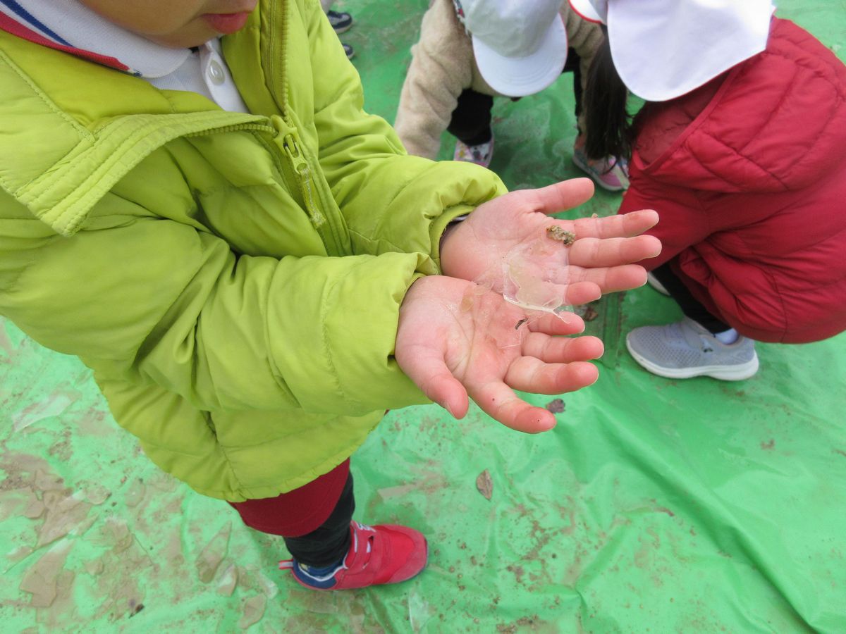 3歳氷(ち・ひ) (2) 3歳氷(ち・ひ) (2)