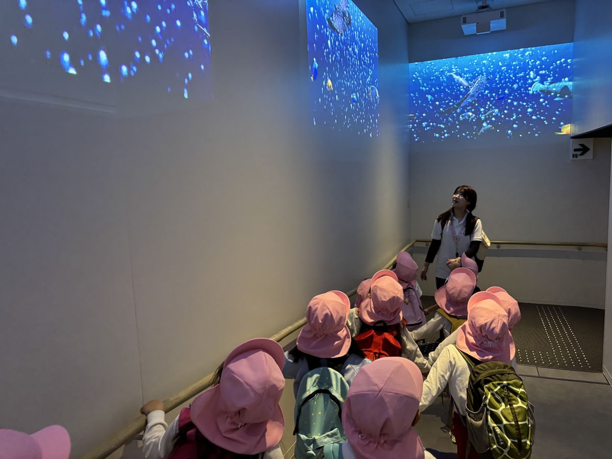 魚館へ3 魚館へ3