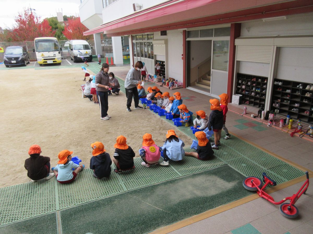 4歳チューリップ(す) (1) 4歳チューリップ(す) (1)