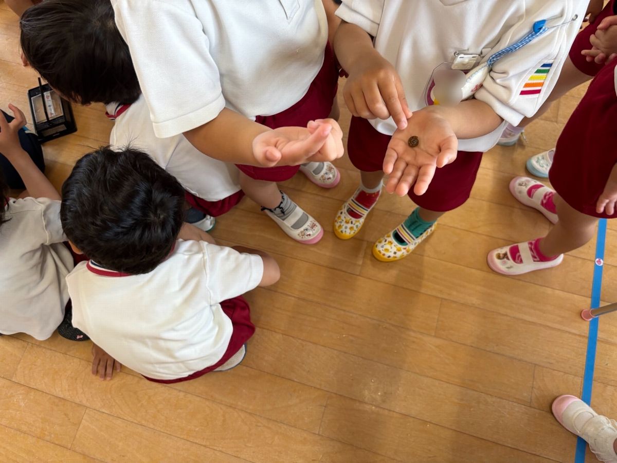 3かたつむり 3かたつむり