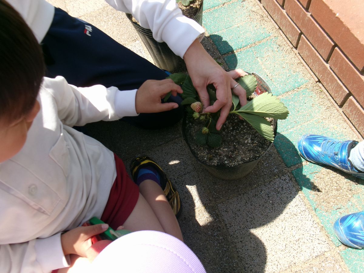 4歳 (3) 4歳 (3)