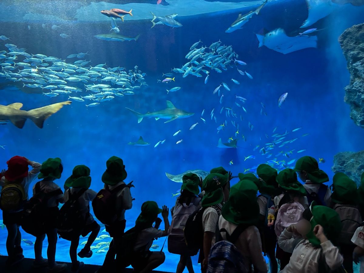 魚館へ6 魚館へ6