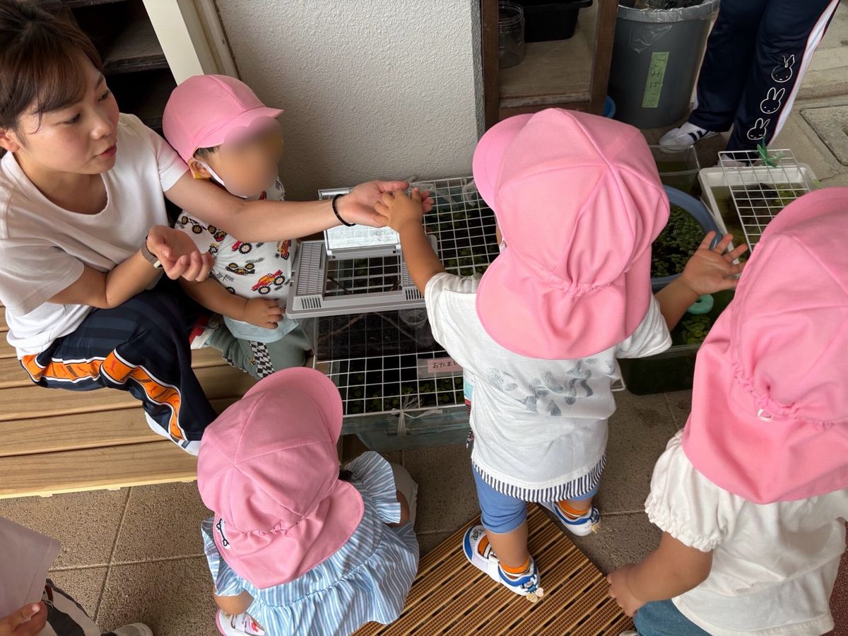 ２歳２