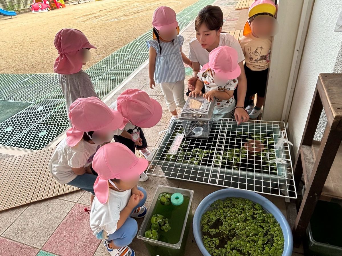 2歳