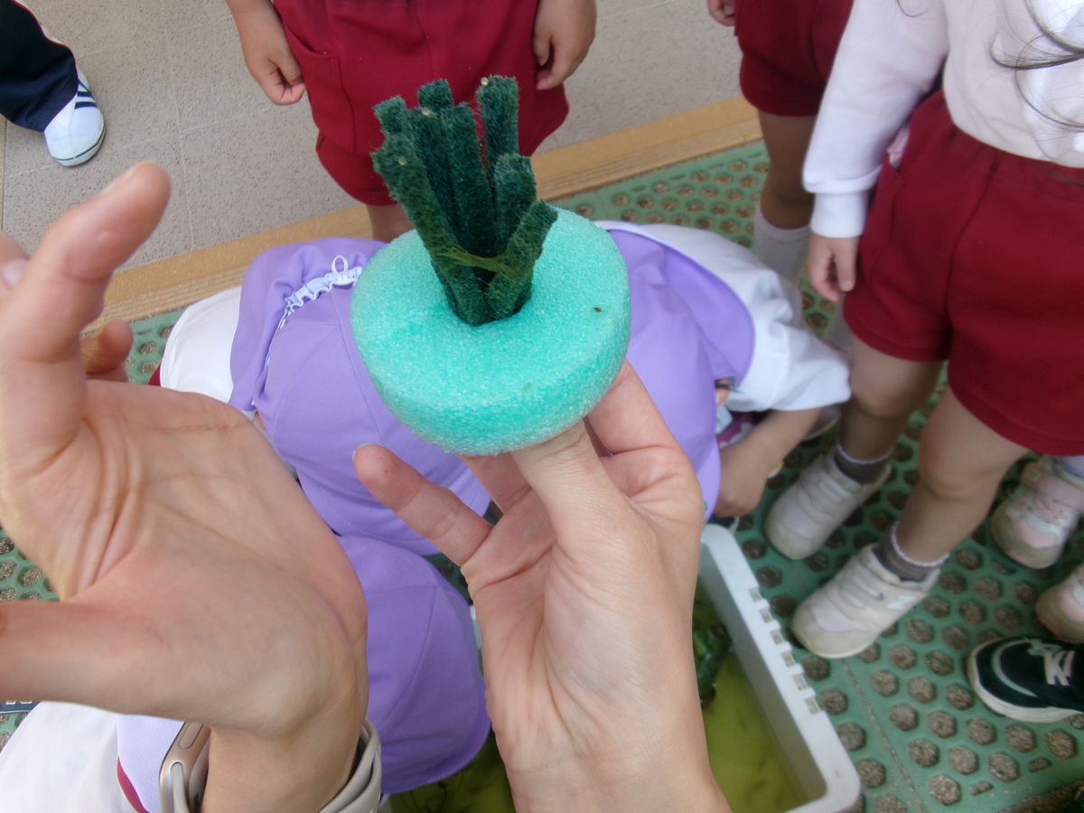 4歳メダカ (3) 4歳メダカ (3)