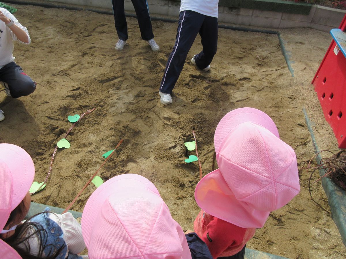 2歳 (4) 2歳 (4)