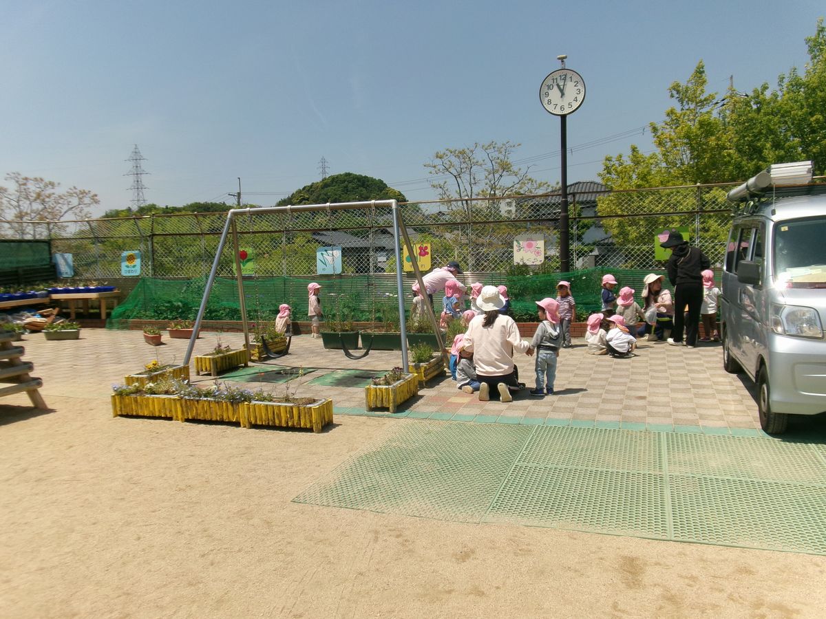 2歳イチゴ (4) 2歳イチゴ (4)