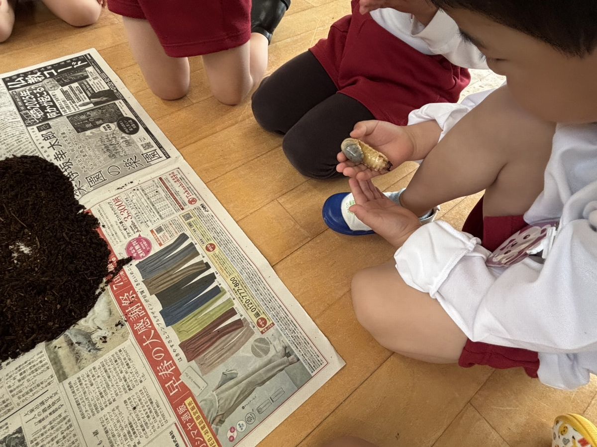4 幼虫2 4 幼虫2