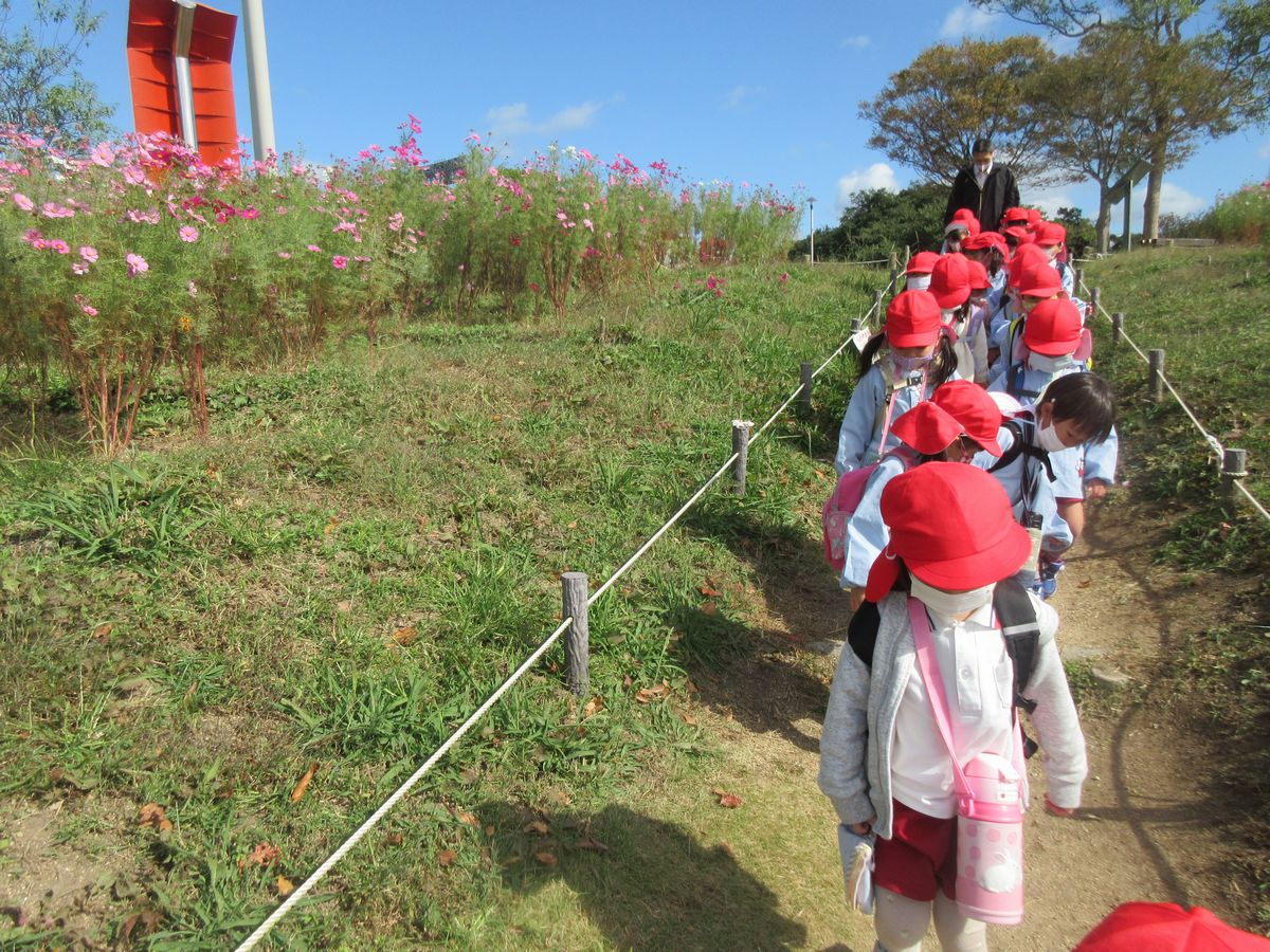 4歳遠足コスモス(ゆ) 4歳遠足コスモス(ゆ)