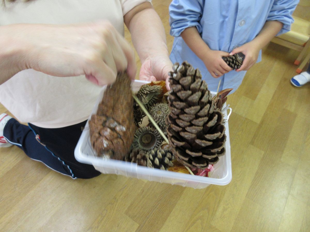 2歳 (4) 2歳 (4)