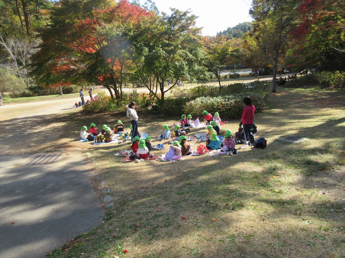 IMG_4913 IMG_4913