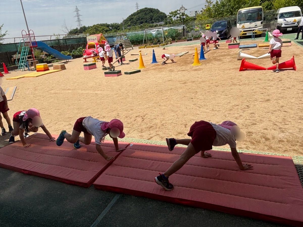 5体育3 5体育3