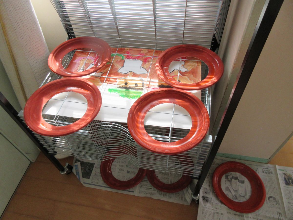 5歳リース(う) 5歳リース(う)