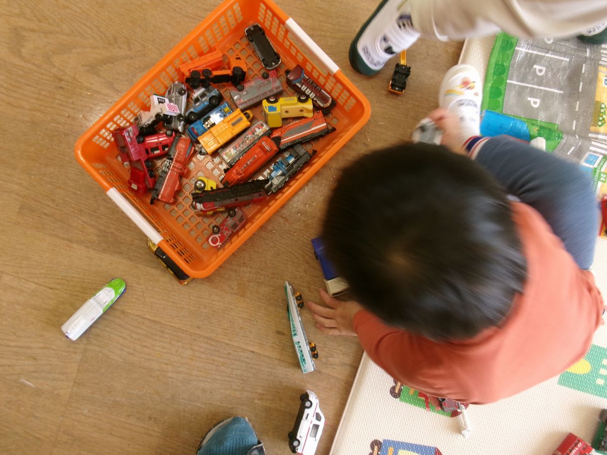 2歳 (3) 2歳 (3)