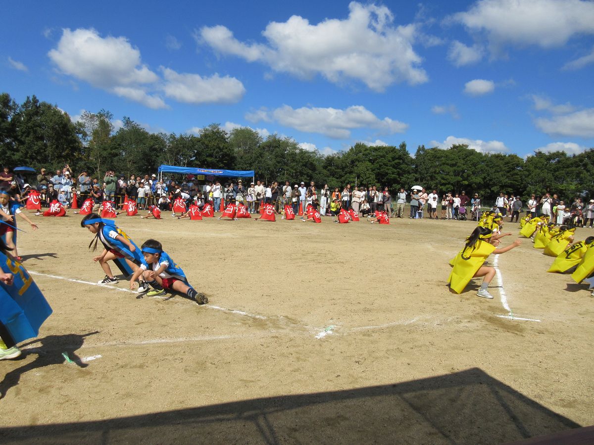 5歳ソーラン (12) 5歳ソーラン (12)