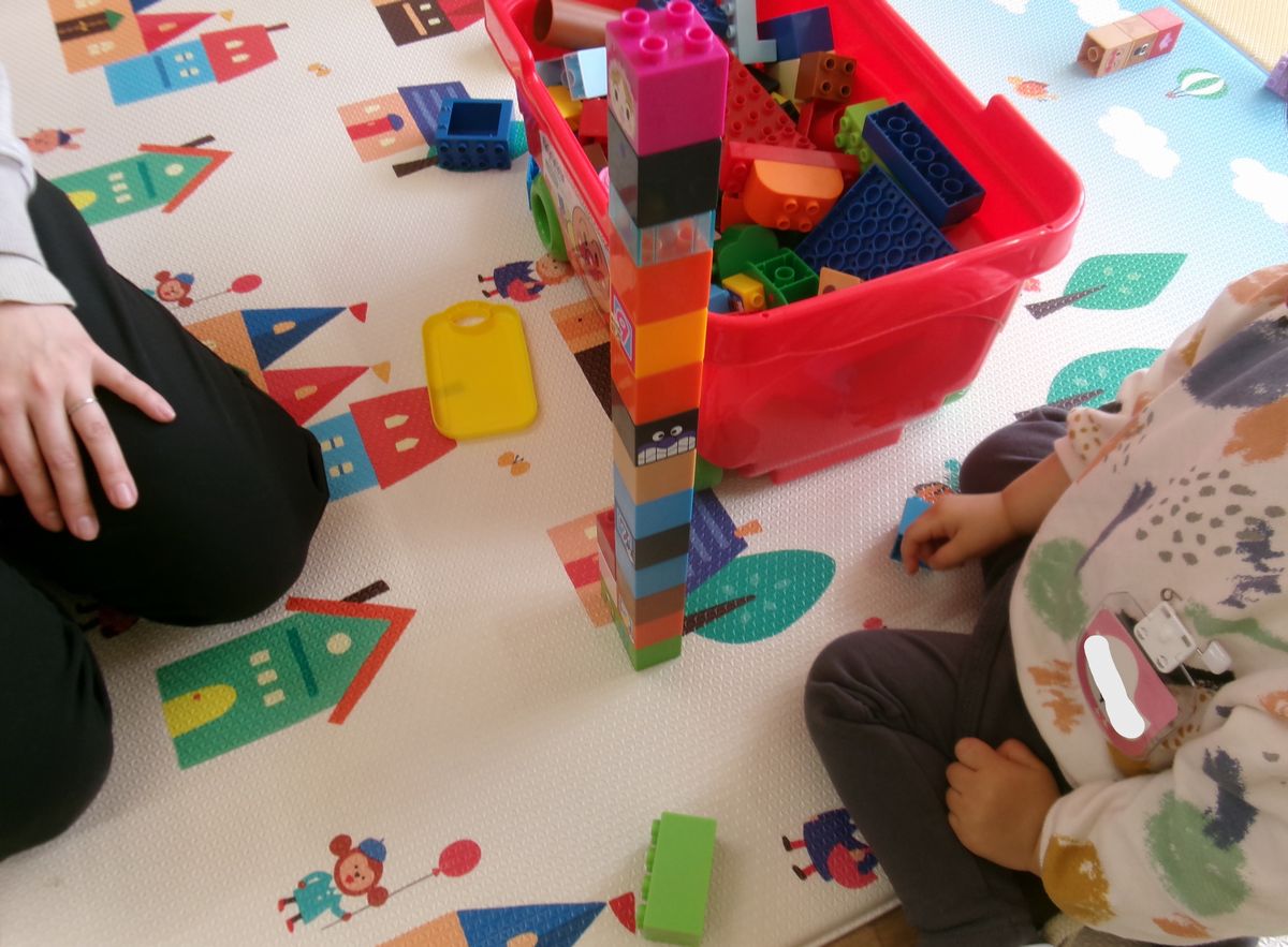 2歳 (4) 2歳 (4)