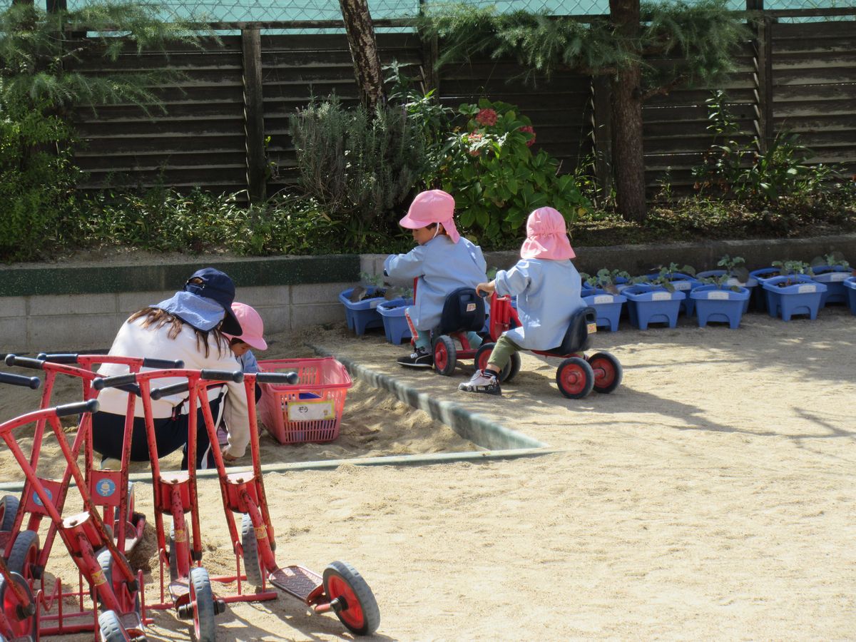 2歳外 (2) 2歳外 (2)