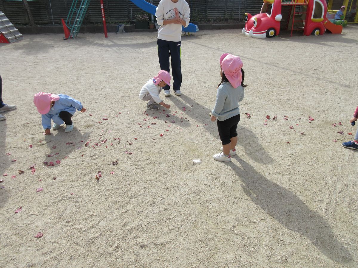 2歳 (4) 2歳 (4)