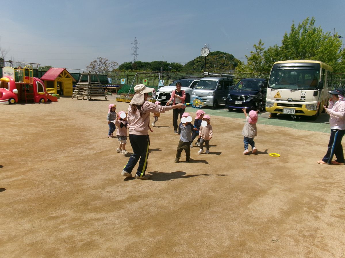 2歳シャボン (1) 2歳シャボン (1)