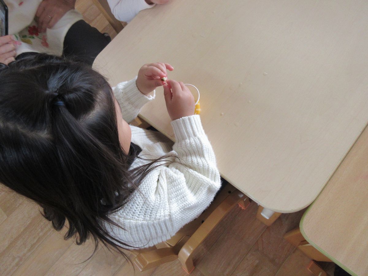 IMG_5443 IMG_5443