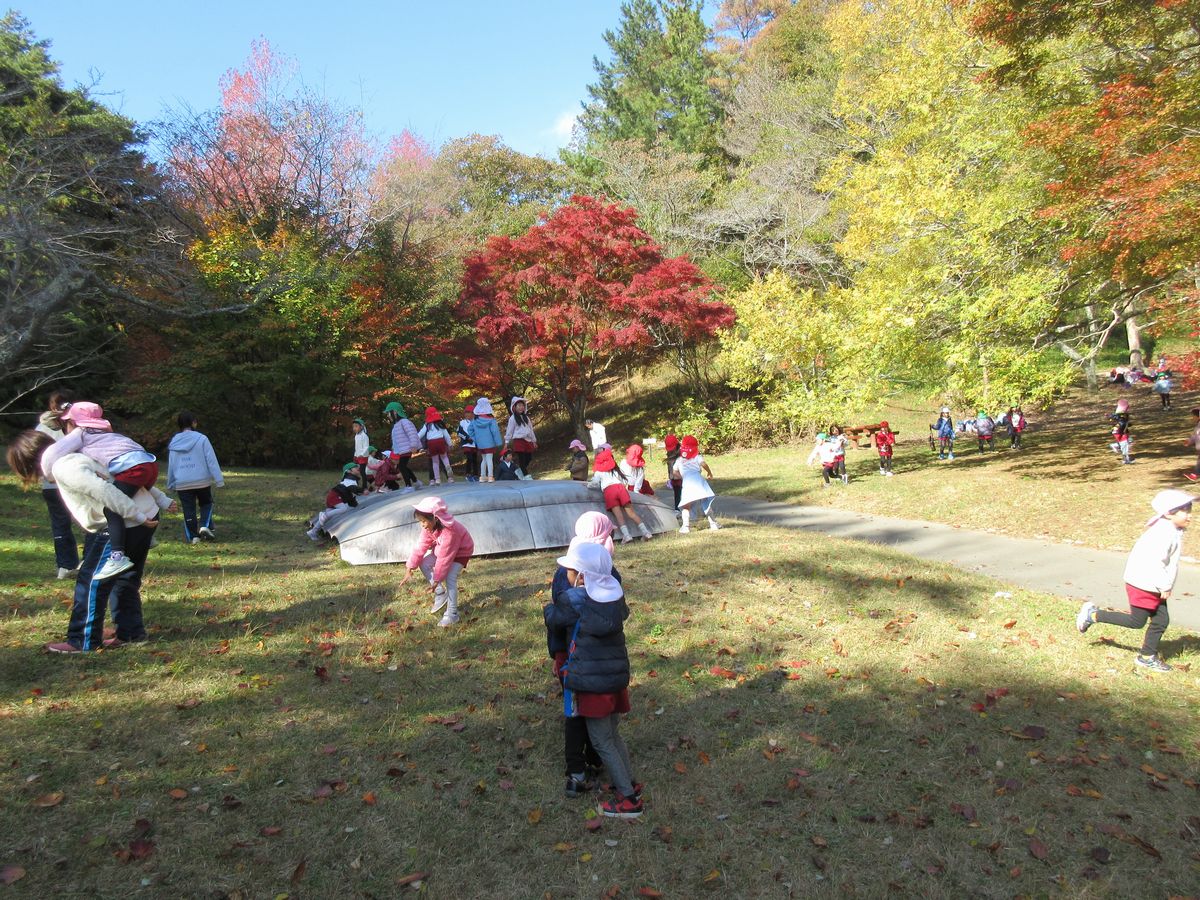 IMG_4918 IMG_4918
