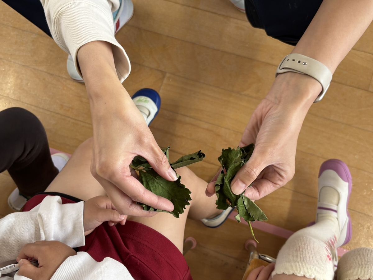 4てんとう虫 4てんとう虫