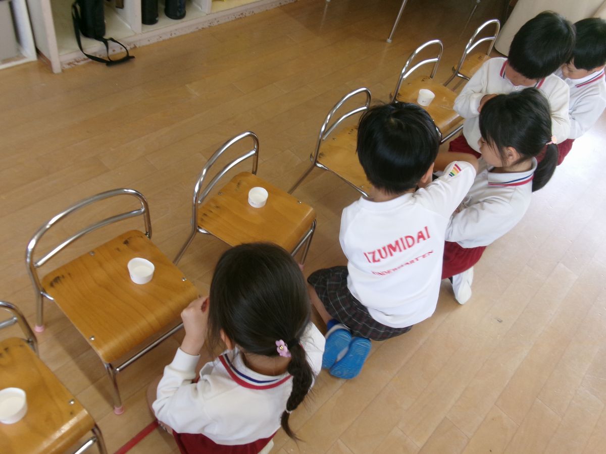 5歳朝顔(さ) (3) 5歳朝顔(さ) (3)
