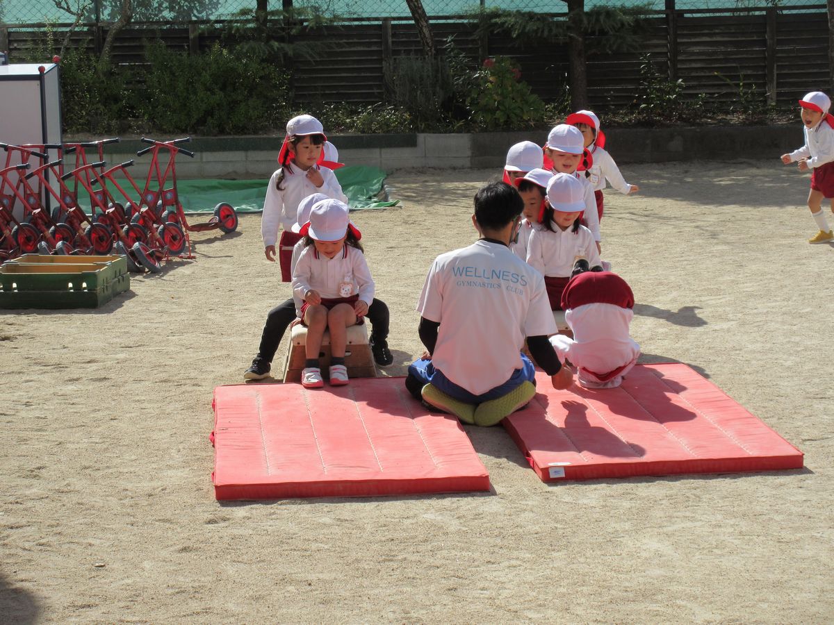3歳体育(た) (8) 3歳体育(た) (8)