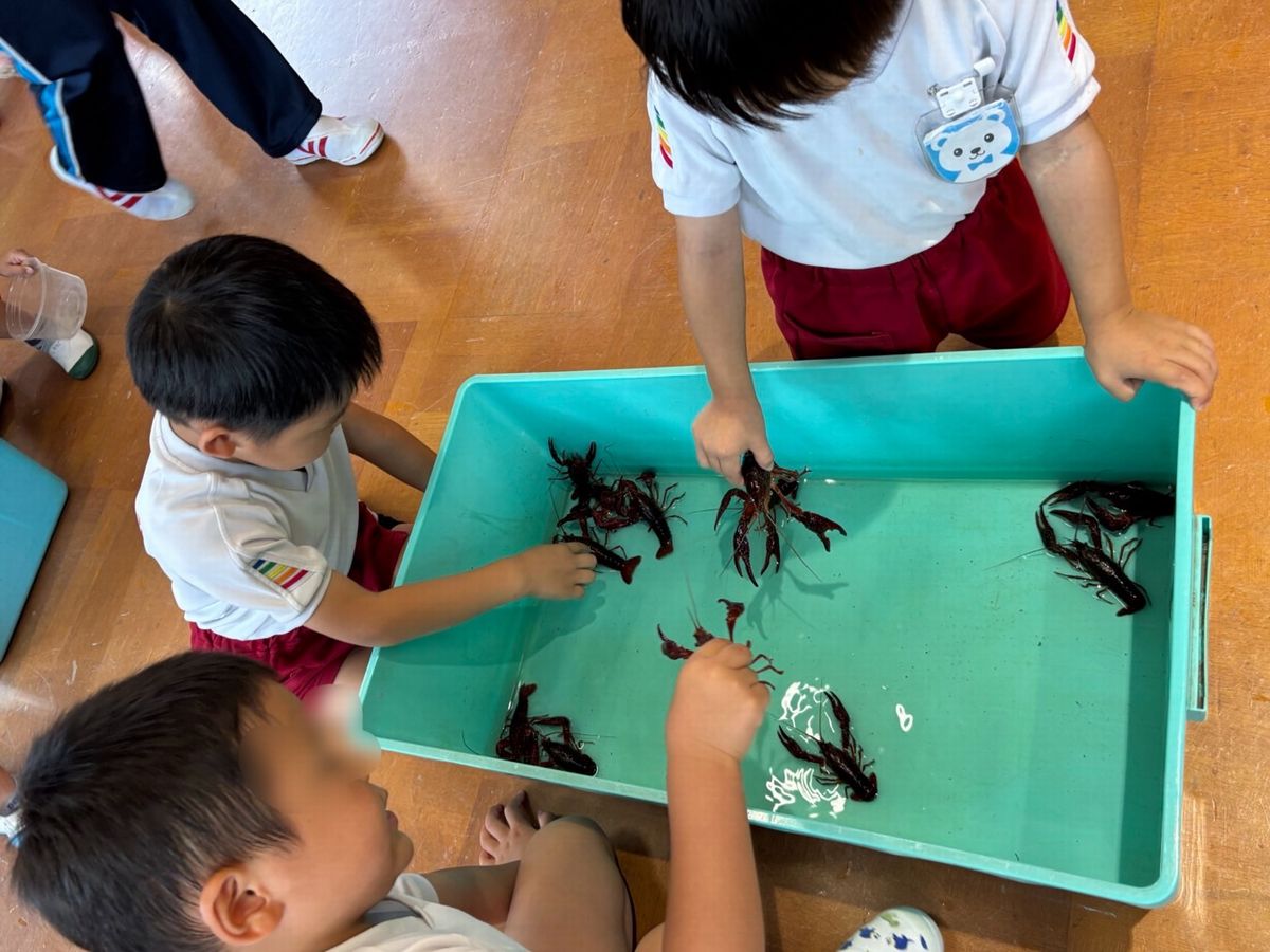 小動物　４歳３