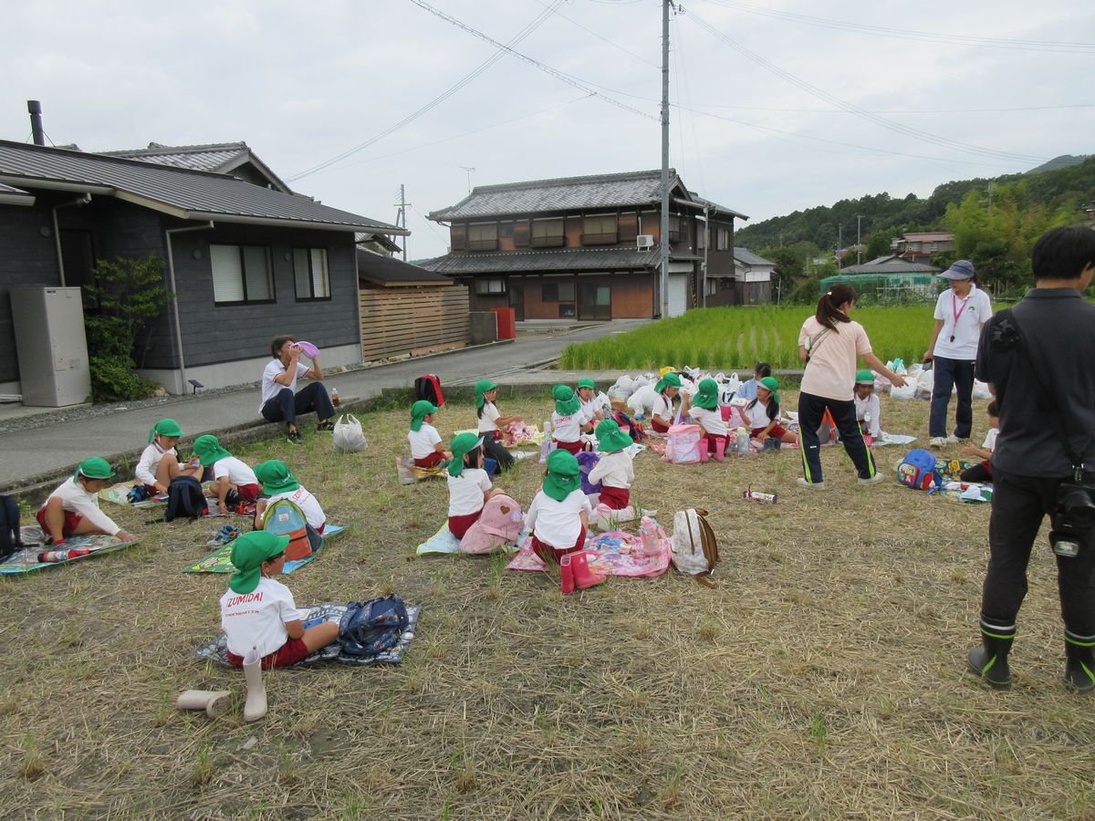 5歳2いもほり (48) 5歳2いもほり (48)