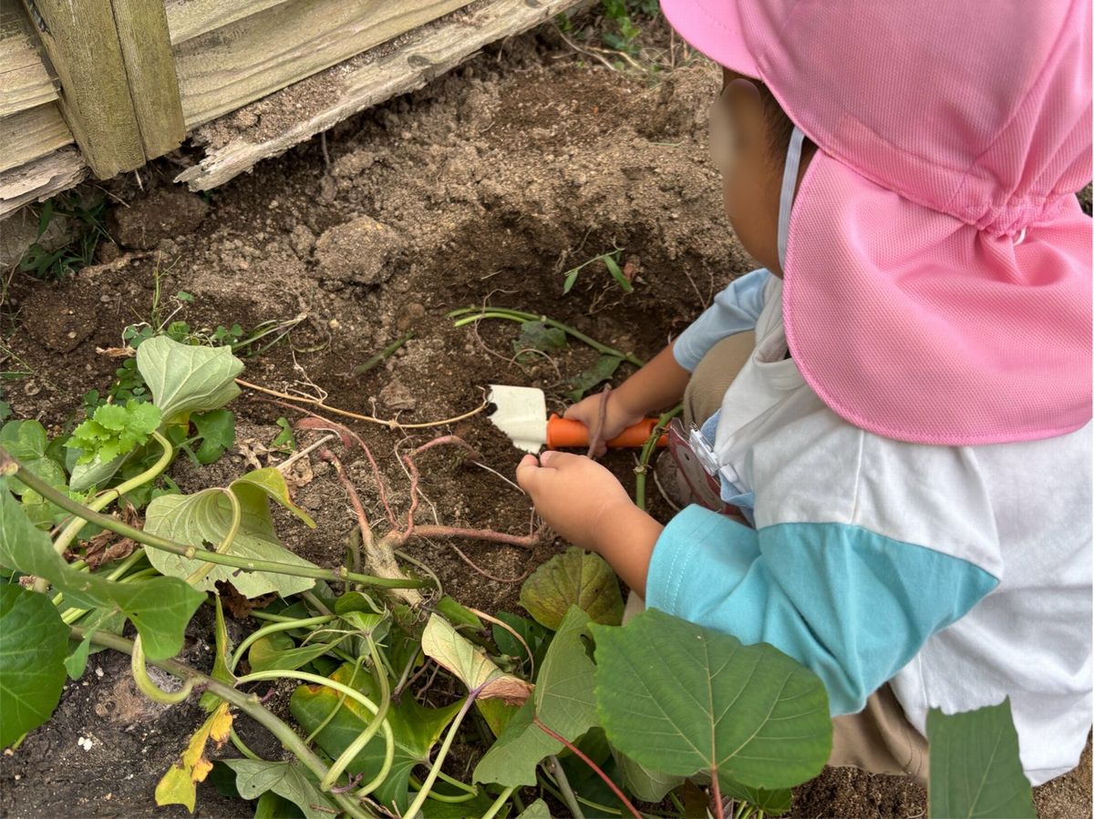 2歳おいも2 2歳おいも2