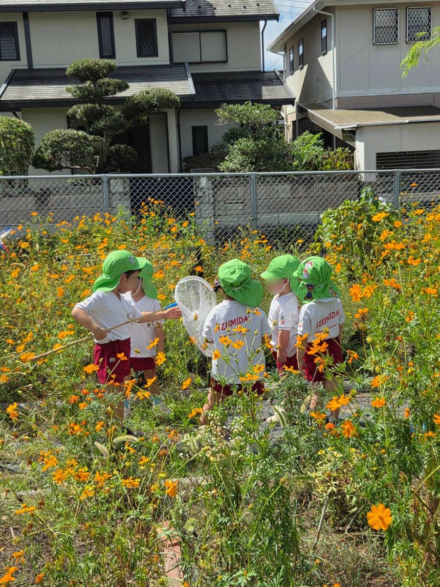 3歳虫取り