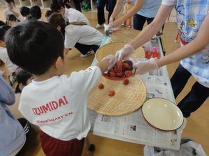 2026.7.8プール日和