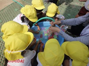 2026.7.21夏向きな遊び