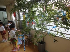 2026.7.6七夕まつりに向けて