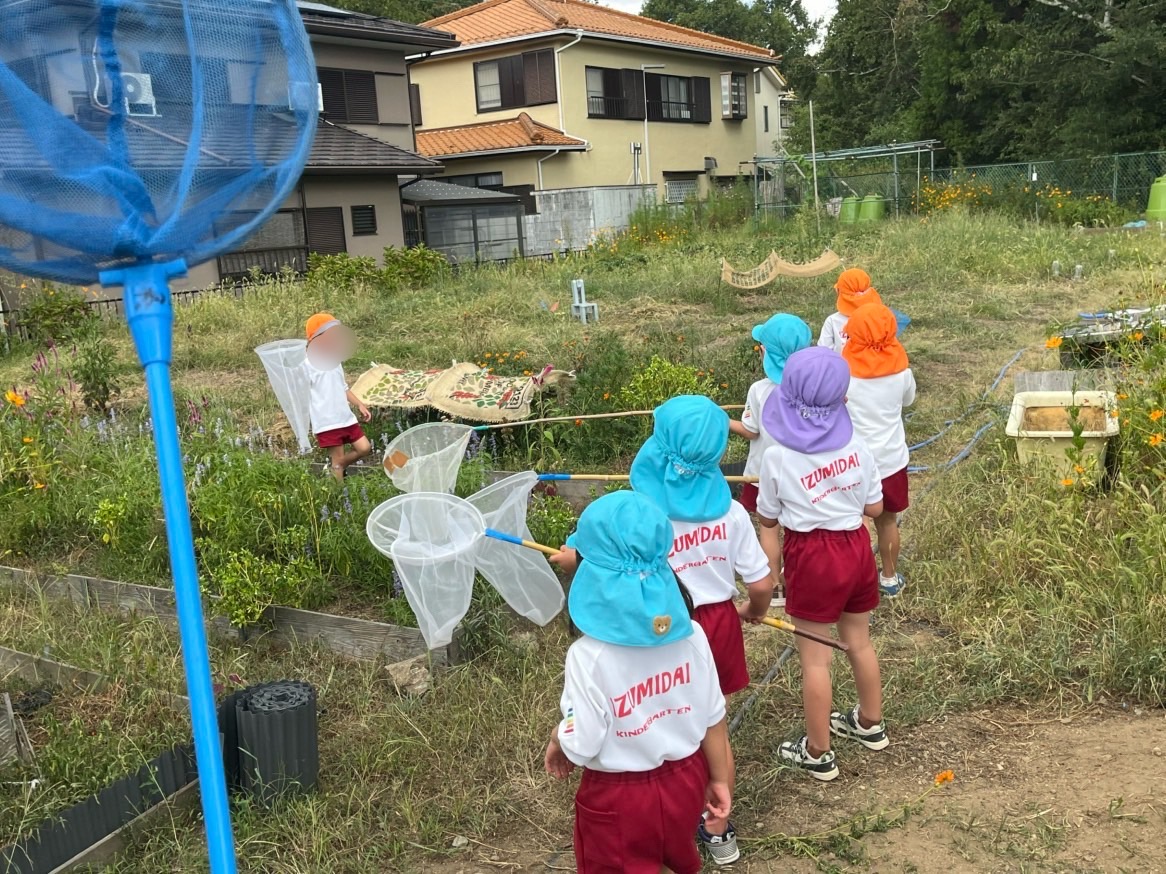 4歳虫捕り4 4歳虫捕り4