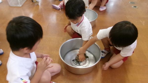 2026.5.27小動物ふれあい 2026.5.27小動物ふれあい