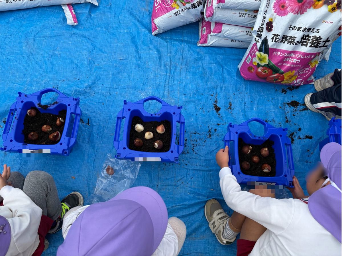 4ちゅうりっぷ３