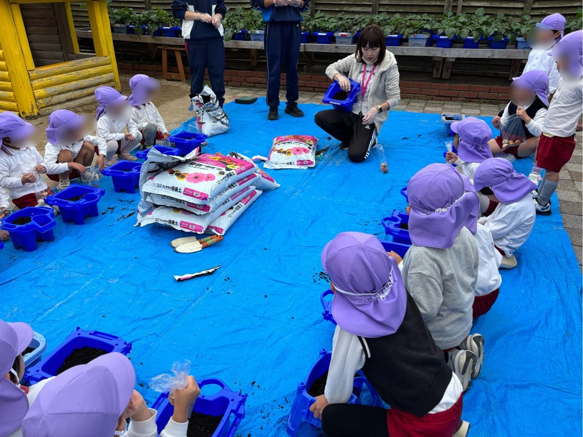 4ちゅうりっぷ２