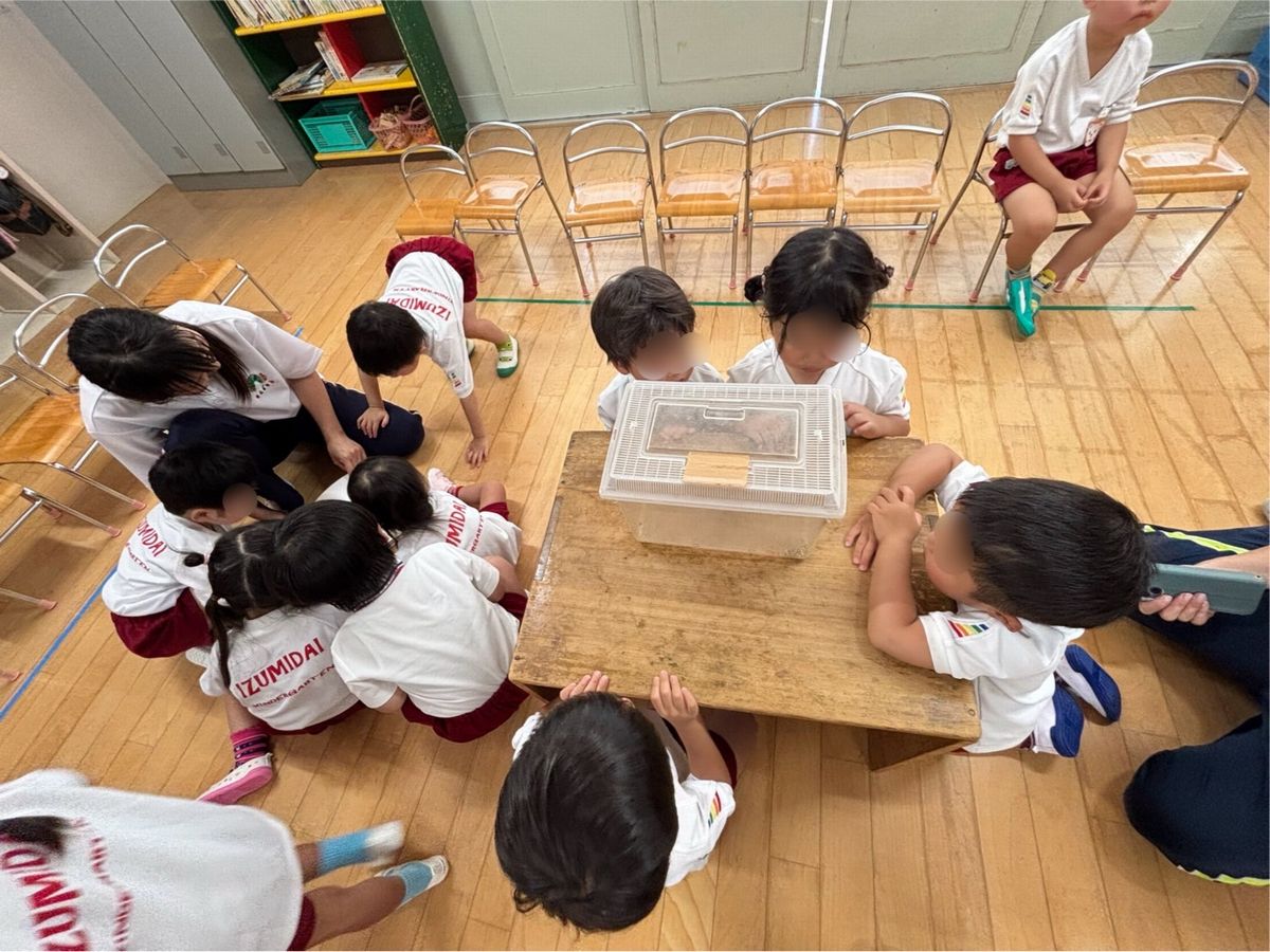 3歳観察２