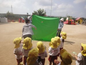 2026.7.21夏向きな遊び