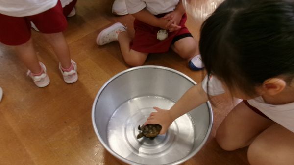 2026.5.27小動物ふれあい 2026.5.27小動物ふれあい