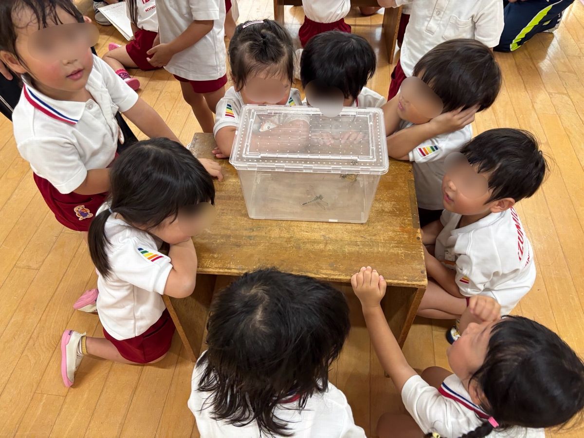 ３歳観察