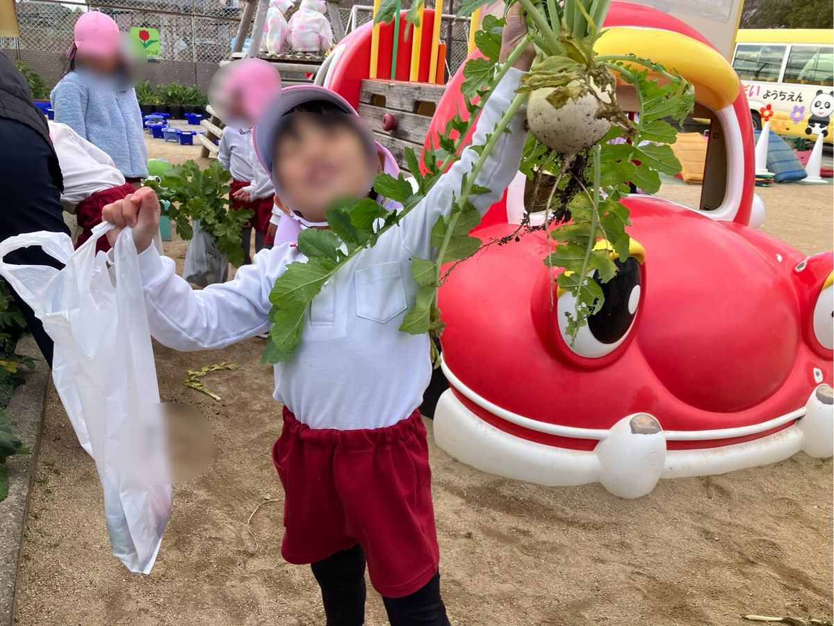 5歳だいこん2 5歳だいこん2