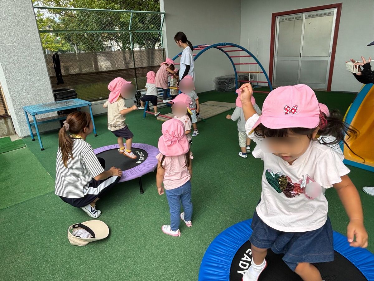 2歳人工芝 2歳人工芝