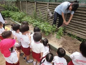 2026.6.18泉台農園